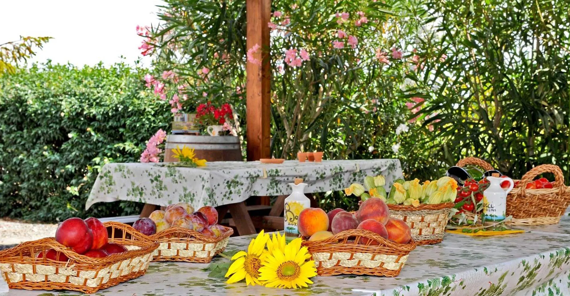Agriturismo Bocci Villa Castiglione della Pescaia Farm stay