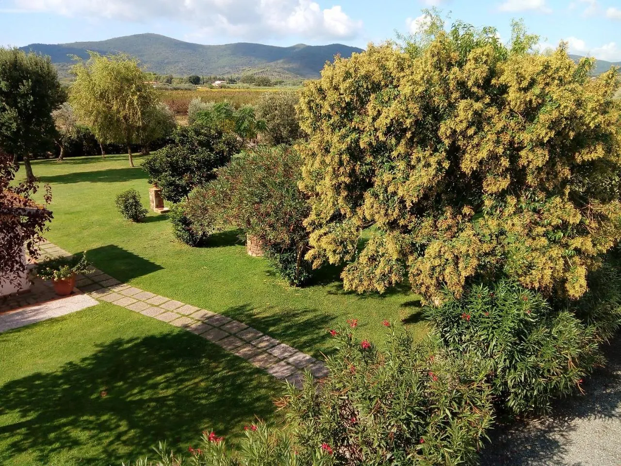 Agriturismo Bocci Villa Castiglione della Pescaia Farm stay